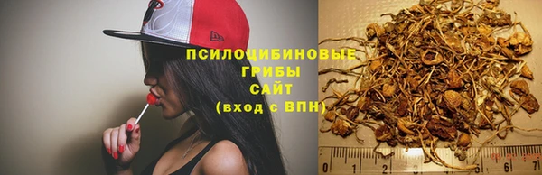 каннабис Алексин